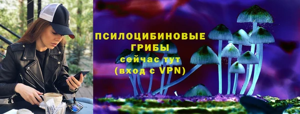 apvp Алексеевка