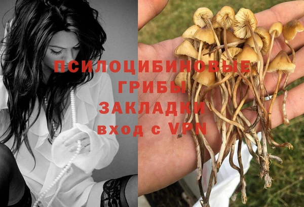 apvp Алексеевка