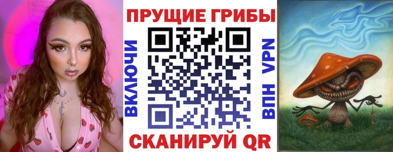 Галлюциногенные грибы Psilocybe  Тосно 