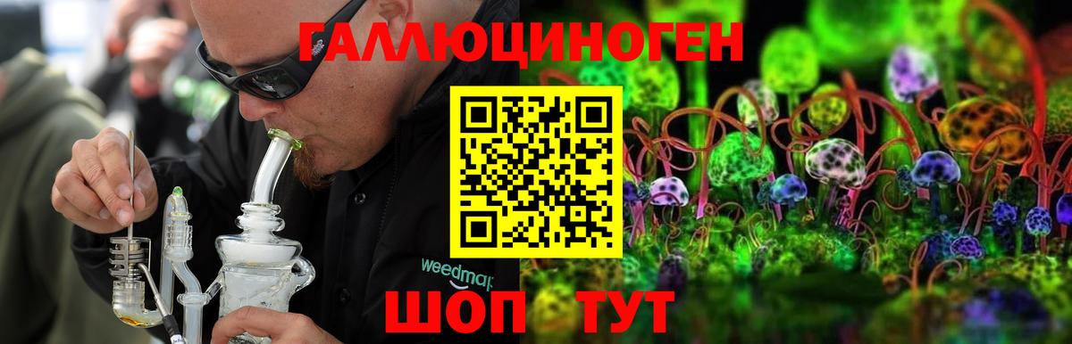Псилоцибиновые грибы Cubensis Тосно